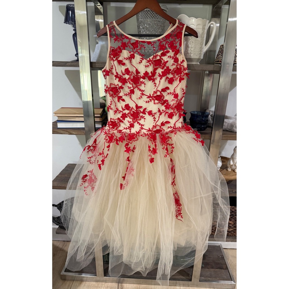 Girls Red Floral Lace Tulle Tutu Dress Quinceañera Formal Party Flower Pageant